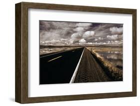 Lower Klamath Lake-David Winston-Framed Giclee Print