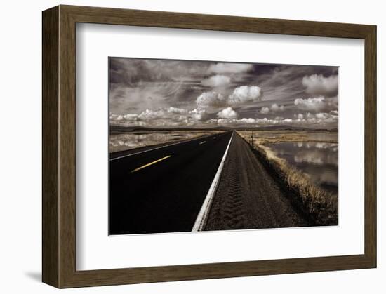 Lower Klamath Lake-David Lorenz Winston-Framed Art Print