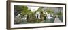 Lower Lakes Cascade in Lake Kaluderovac, Plitvice Lakes, Plitvicka Jezera, Croatia-Martin Zwick-Framed Photographic Print