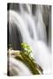 Lower Lakes, Waterfall Slapovi M Trnine, Plitvice Lakes, Plitvicka Jezera, Croatia-Martin Zwick-Stretched Canvas