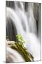 Lower Lakes, Waterfall Slapovi M Trnine, Plitvice Lakes, Plitvicka Jezera, Croatia-Martin Zwick-Mounted Photographic Print