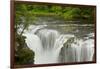 Lower Lewis Falls, Lewis River, Gifford-Pinchot Nf, Washington, Usa-Michel Hersen-Framed Photographic Print