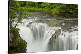 Lower Lewis Falls, Lewis River, Gifford-Pinchot Nf, Washington, Usa-Michel Hersen-Stretched Canvas