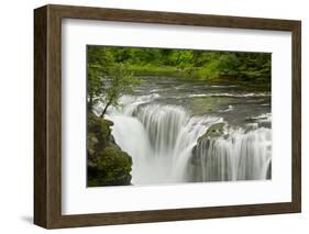 Lower Lewis Falls, Lewis River, Gifford-Pinchot Nf, Washington, Usa-Michel Hersen-Framed Photographic Print