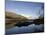 Lower Loch, Killarney, County Kerry, Munster, Republic of Ireland, Europe-Oliviero Olivieri-Mounted Photographic Print