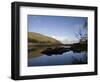 Lower Loch, Killarney, County Kerry, Munster, Republic of Ireland, Europe-Oliviero Olivieri-Framed Photographic Print