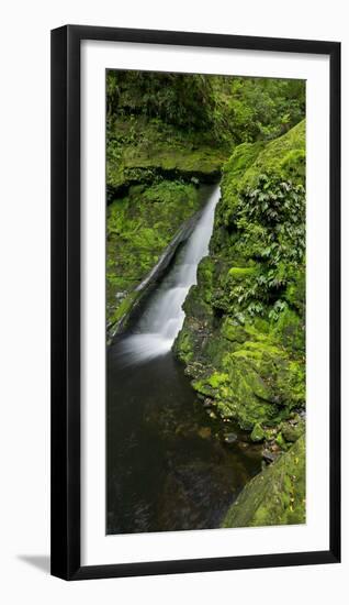 Lower Mclean Falls, Catlins, Southland South Island, New Zealand-Rainer Mirau-Framed Photographic Print