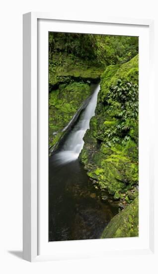 Lower Mclean Falls, Catlins, Southland South Island, New Zealand-Rainer Mirau-Framed Photographic Print