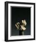 Lower Mesopotamia-null-Framed Giclee Print