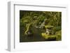 Lower Pond in the Portland Japanese Garden, Portland, Oregon-Michel Hersen-Framed Photographic Print