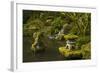 Lower Pond in the Portland Japanese Garden, Portland, Oregon-Michel Hersen-Framed Photographic Print