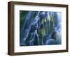 Lower Proxy Falls-Darrell Gulin-Framed Photographic Print