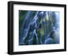 Lower Proxy Falls-Darrell Gulin-Framed Photographic Print