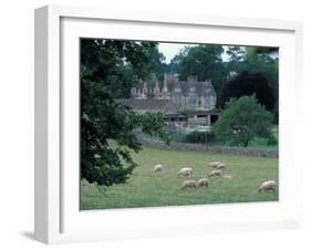 Lower Slaughter Manor and Sheep, Gloucestershire, England-David Herbig-Framed Photographic Print