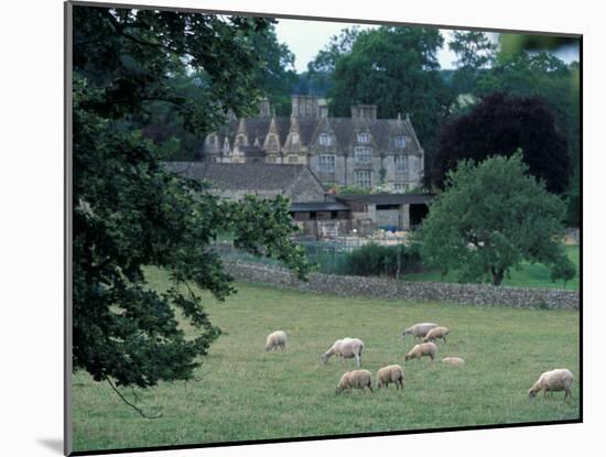 Lower Slaughter Manor and Sheep, Gloucestershire, England-David Herbig-Mounted Photographic Print