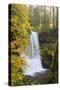 Lower South Falls, Silver Falls State Park, Oregon, USA-Jamie & Judy Wild-Stretched Canvas