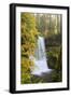 Lower South Falls, Silver Falls State Park, Oregon, USA-Jamie & Judy Wild-Framed Photographic Print