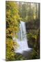 Lower South Falls, Silver Falls State Park, Oregon, USA-Jamie & Judy Wild-Mounted Photographic Print