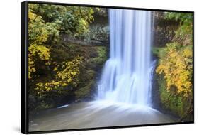 Lower South Falls, Silver Falls State Park, Oregon, USA-Jamie & Judy Wild-Framed Stretched Canvas