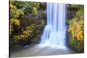 Lower South Falls, Silver Falls State Park, Oregon, USA-Jamie & Judy Wild-Stretched Canvas