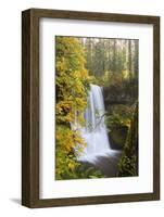 Lower South Falls, Silver Falls State Park, Oregon, USA-Jamie & Judy Wild-Framed Photographic Print