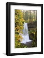 Lower South Falls, Silver Falls State Park, Oregon, USA-Jamie & Judy Wild-Framed Photographic Print