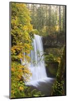Lower South Falls, Silver Falls State Park, Oregon, USA-Jamie & Judy Wild-Mounted Photographic Print