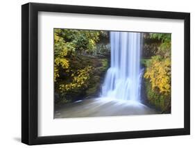 Lower South Falls, Silver Falls State Park, Oregon, USA-Jamie & Judy Wild-Framed Photographic Print