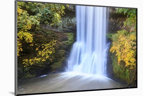 Lower South Falls, Silver Falls State Park, Oregon, USA-Jamie & Judy Wild-Mounted Photographic Print