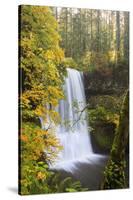 Lower South Falls, Silver Falls State Park, Oregon, USA-Jamie & Judy Wild-Stretched Canvas