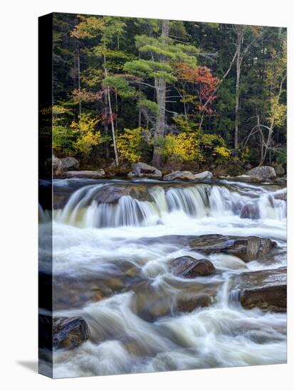 Lower Swift River Falls, White Mountains, New Hampshire, USA-Dennis Flaherty-Stretched Canvas