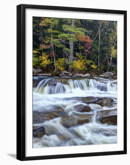 Lower Swift River Falls, White Mountains, New Hampshire, USA-Dennis Flaherty-Framed Premium Photographic Print