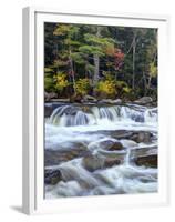 Lower Swift River Falls, White Mountains, New Hampshire, USA-Dennis Flaherty-Framed Premium Photographic Print