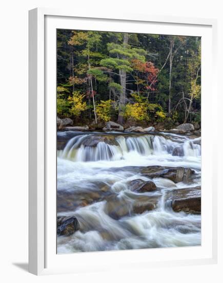 Lower Swift River Falls, White Mountains, New Hampshire, USA-Dennis Flaherty-Framed Premium Photographic Print