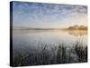 Lower Tamar Lake, North Devon Cornwall Border, UK-Ross Hoddinott-Stretched Canvas