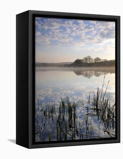 Lower Tamar Lake, North Devon Cornwall Border, UK-Ross Hoddinott-Framed Stretched Canvas