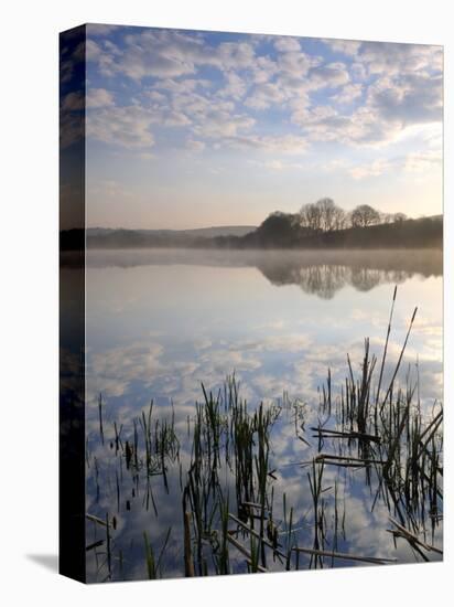 Lower Tamar Lake, North Devon Cornwall Border, UK-Ross Hoddinott-Stretched Canvas