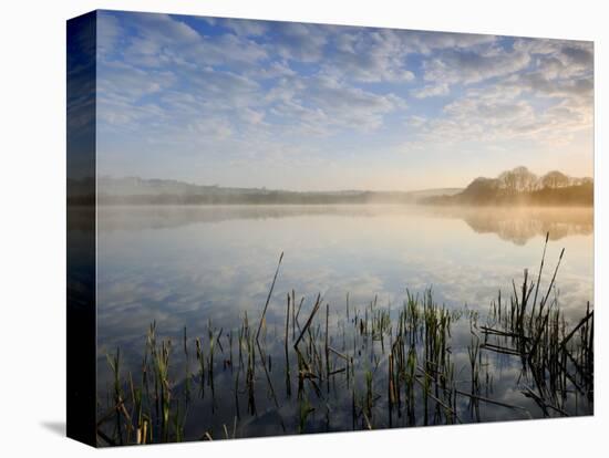 Lower Tamar Lake, North Devon Cornwall Border, UK-Ross Hoddinott-Stretched Canvas