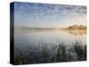 Lower Tamar Lake, North Devon Cornwall Border, UK-Ross Hoddinott-Stretched Canvas