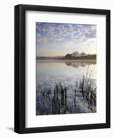 Lower Tamar Lake, North Devon Cornwall Border, UK-Ross Hoddinott-Framed Photographic Print