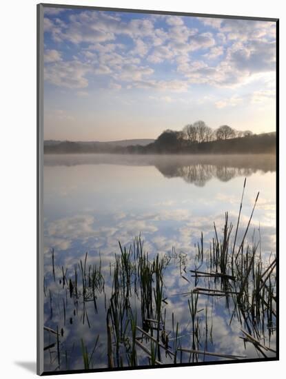 Lower Tamar Lake, North Devon Cornwall Border, UK-Ross Hoddinott-Mounted Photographic Print