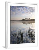 Lower Tamar Lake, North Devon Cornwall Border, UK-Ross Hoddinott-Framed Photographic Print