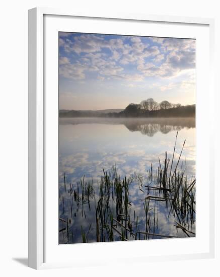 Lower Tamar Lake, North Devon Cornwall Border, UK-Ross Hoddinott-Framed Photographic Print