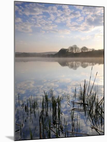 Lower Tamar Lake, North Devon Cornwall Border, UK-Ross Hoddinott-Mounted Photographic Print