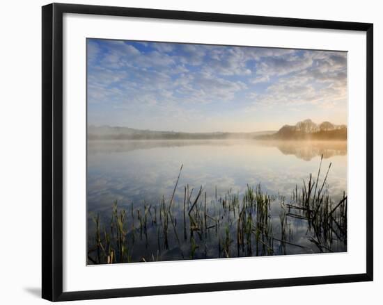 Lower Tamar Lake, North Devon Cornwall Border, UK-Ross Hoddinott-Framed Photographic Print