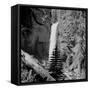 Lower Waterfall of the Yellowstone River in Yellowstone National Park-Alfred Eisenstaedt-Framed Stretched Canvas