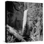 Lower Waterfall of the Yellowstone River in Yellowstone National Park-Alfred Eisenstaedt-Stretched Canvas