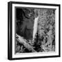 Lower Waterfall of the Yellowstone River in Yellowstone National Park-Alfred Eisenstaedt-Framed Photographic Print