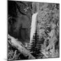 Lower Waterfall of the Yellowstone River in Yellowstone National Park-Alfred Eisenstaedt-Mounted Photographic Print