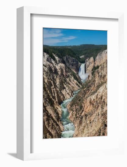 Lower Yellowstone Falls, Grand Canyon of the Yellowstone, Yellowstone National Park, Wyoming, USA-Roddy Scheer-Framed Photographic Print
